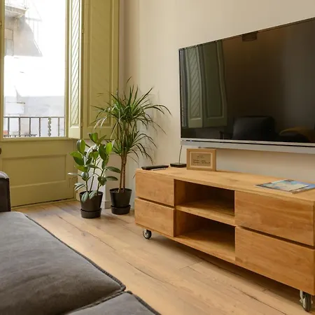 Apg Palau Salieti 1 Apartment Girona