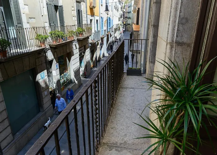 Apg Palau Salieti 1 * Girona